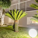 Le Palme 4*